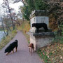 Briska muss alles im Blick haben