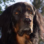 Ich behalte alles im Blick!