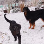 Juhu, Schnee...