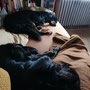 Chillen muss auch sein