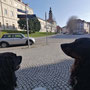 Sightseeing in Weimar