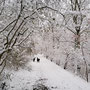 Winterwunderland
