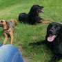 Pause mit Freundin Halona