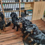 Besuch bei meinem Halbbruder Erasto - Dario, Briska, Erasto, Mila
