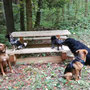 Wanderung mit der Hundeschule