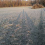 Schattenspiele