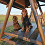 Wir geniessen die Sonne