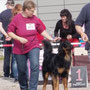 Ausstellung Erfurt