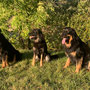 3 Generationen Mühlendamm - ich & Fanny & Eyco