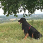 Immer alles im Blick