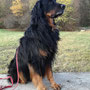 Ich habe alles im Blick
