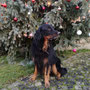 Frohe Weihnachten!