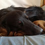 Sofawart - relaxen muss auch mal sein