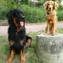 Mit Cosima unterwegs