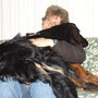 Schoßhund