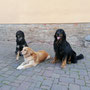 Halbschwesterchen Fanny, Mama Vania und ich