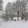 Der Winter hat Einzug gehalten