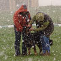 Ausstellung Habichtswald - Schnee ...