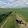 Unterwegs mit Paula und Benny