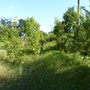 (c) kps - 03.09.2011 - stillgelegte Gleise am Bahnhof Crawinkel
