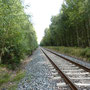 (c) kps - 21.09.2011 - von Luisenthal nach Crawinkel - bestens präparierte Piste