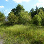 (c) kps - 03.09.2011 - stillgelegte Kopframpe am Bahnhof Crawinkel
