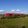 (c) kps - 03.09.2011 - zwischen Frankenhain und Crawinkel