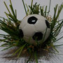 M10 - Fußball (Foto von Karola Rinke)