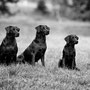 Generationenfoto: Ivy, Mama Grace und Halbschwester Sally