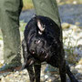 Wassertraining im August 2010