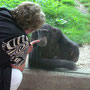 Zoo-Bummel (September 2008) Margrid bei den Affen