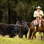 RossFoto Dana Krimmling, Pferdefotografie, Westernreiten, Viehtrieb, Dahn, Gerhard Kissel, Westernladen Dahn