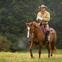 RossFoto Dana Krimmling, Pferdefotografie, Westernreiten, Viehtrieb, Dahn, Gerhard Kissel, Westernladen Dahn