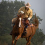 RossFoto Dana Krimmling, Pferdefotografie, Westernreiten, Viehtrieb, Dahn, Gerhard Kissel, Westernladen Dahn