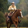 RossFoto Dana Krimmling, Pferdefotografie, Westernreiten, Viehtrieb, Dahn, Gerhard Kissel, Westernladen Dahn