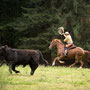 RossFoto Dana Krimmling, Pferdefotografie, Westernreiten, Viehtrieb, Dahn, Gerhard Kissel, Westernladen Dahn