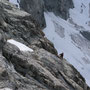 In der Obergabelhorn S-Wand