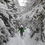 Genug Neuschnee - am Fanningberg kann man auch ohne Lifte und Pisten herrlich unterwegs sein