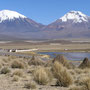Die Zwillinge Pomerape und Parinacota
