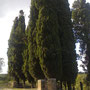 Commemorazione dei caduti in Guerra - Cimitero