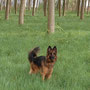 Das bin ich: Lory