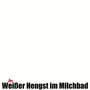 Weißer Hengst im Milchbad - Acryl auf Leinwand (100x100 cm) - by Don2012