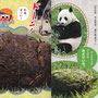 『みてみて 2025年10月号』挿絵／チャイルド本社