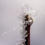 Winter - Impression Nr.0534