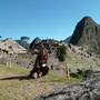 MACHU PICHU -  PEROU