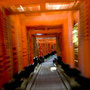 Torii alley leading to Fushimi-Inari