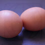 2 Huevos