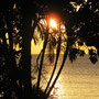 Sundown / Sonnenuntergang