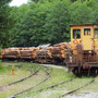 De locomotief van een lange houttrein