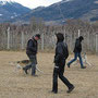 Training Unterordnung 02.03.2013